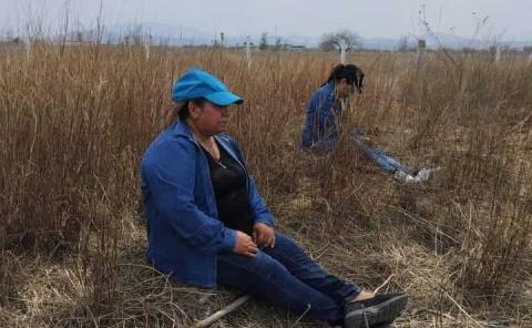 Impulsan Fiscalía  en Desaparecidos 
