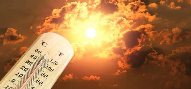Canícula traerá más calor Canícula traerá más calor