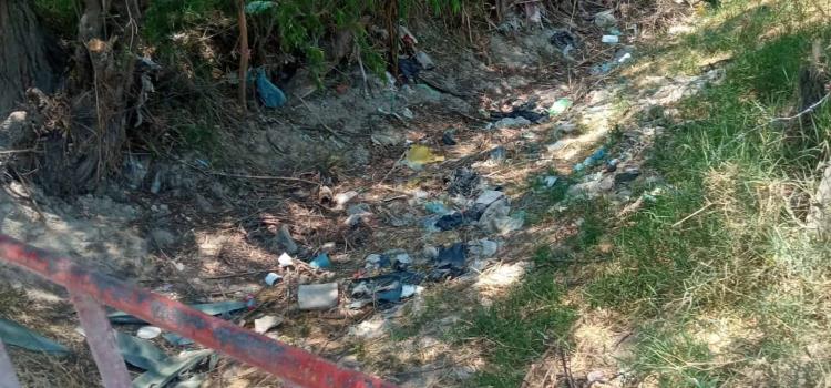 Contaminan los arroyos Contaminan los arroyos
