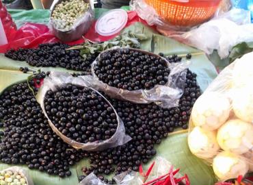 Temporada de capulín es aprovechada por comerciantes