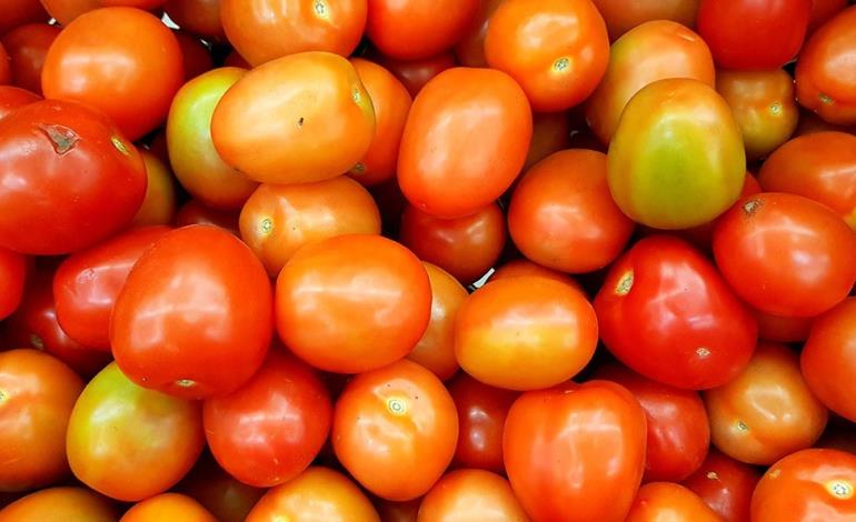 San Luis defiende su tomate ante EU