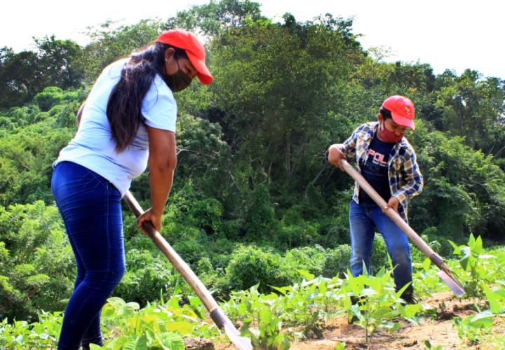 Alto porcentaje deja a sus hijos por empleo; van a EU 