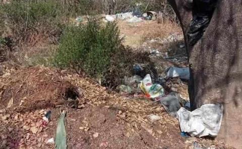 Predios despoblados son utilizados para arrojar desechos