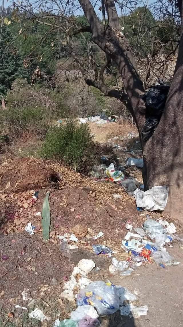 Predios despoblados son utilizados para arrojar desechos