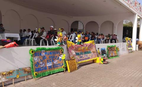 Conmemoraron el Día Mundial de las Abejas
