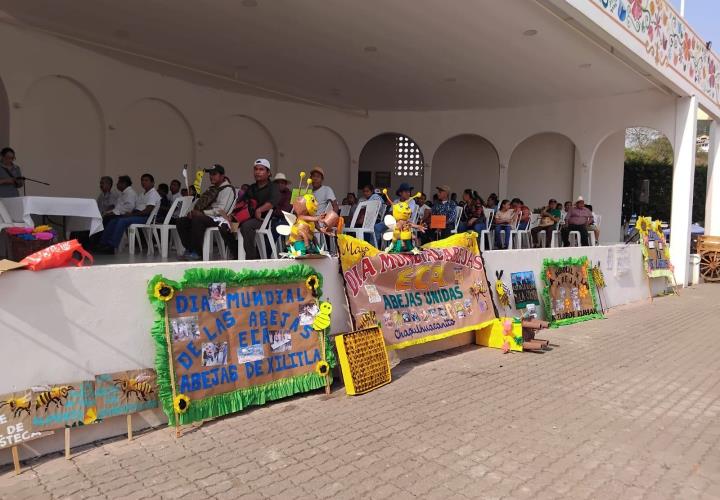 Conmemoraron el Día Mundial de las Abejas