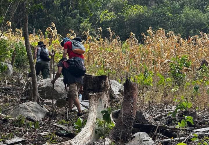 Piden monitoreo en Tamán por incendio que no cesa