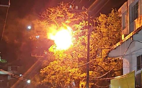 ÁRBOL EN LLAMAS POR CORTOCIRCUITO