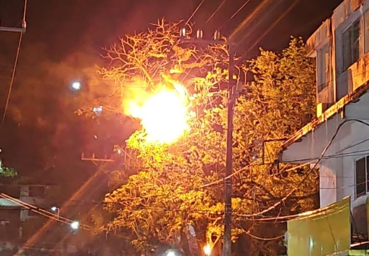 ÁRBOL EN LLAMAS POR CORTOCIRCUITO