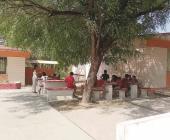 Clases bajo un árbol