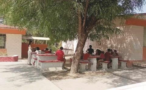 Clases bajo un árbol