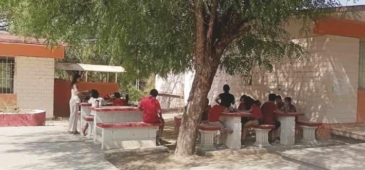 Clases bajo un árbol Clases bajo un árbol