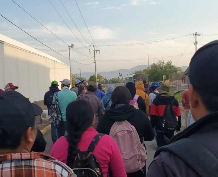 Paro laboral en En invernadero 
