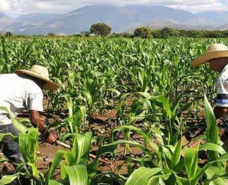 Seguridad alimentaria en manos de intermediarios
