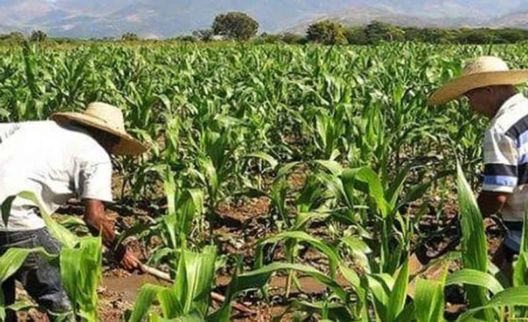 Seguridad alimentaria en manos de intermediarios