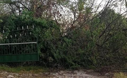 Ventarrón azotó al Ejido Canoas