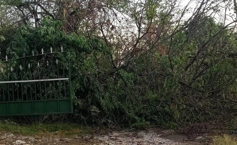 Ventarrón azotó al Ejido Canoas