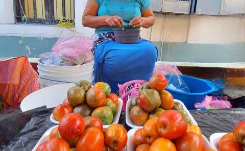 Dulce inicio de temporada de ciruelas en Axtla
