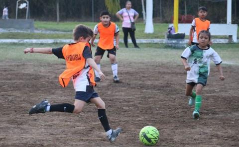 Inauguran mañana viernes torneo de la categoría Pony 
