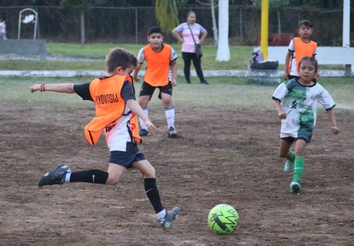 Inauguran mañana viernes torneo de la categoría Pony 