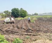 Agricultores sacan provecho a lluvias 