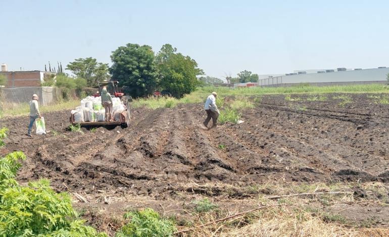 Agricultores sacan provecho a lluvias 