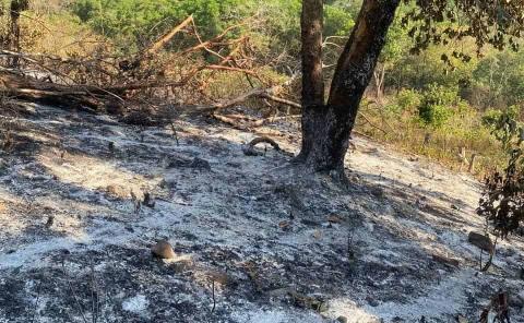 Prohíben autoridades quemas clandestinas en zonas rurales