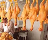 Comer pollo ya es un lujo