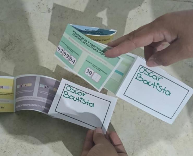 Diputado exige el voto en elecciones 
