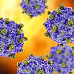 Acecha virus Coxsackie