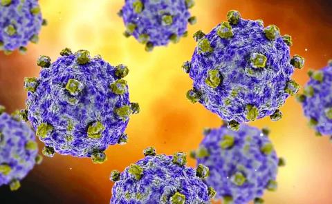 Acecha virus Coxsackie