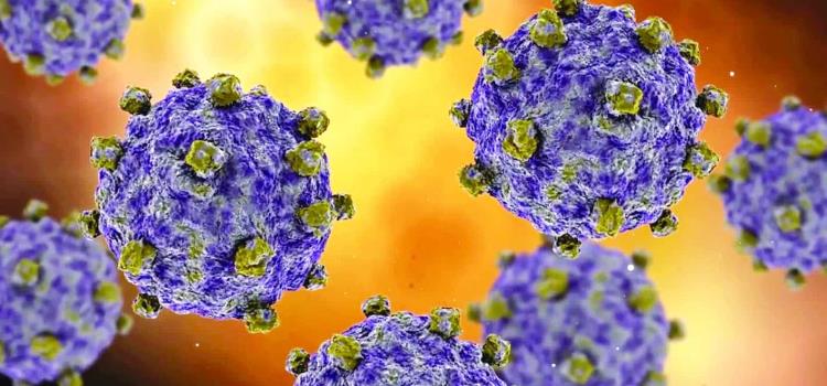 Acecha virus Coxsackie Acecha virus Coxsackie