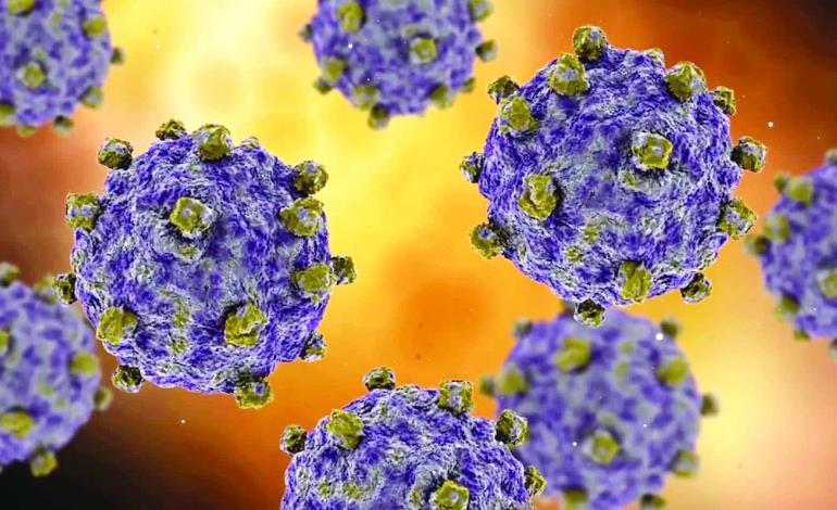 Acecha virus Coxsackie