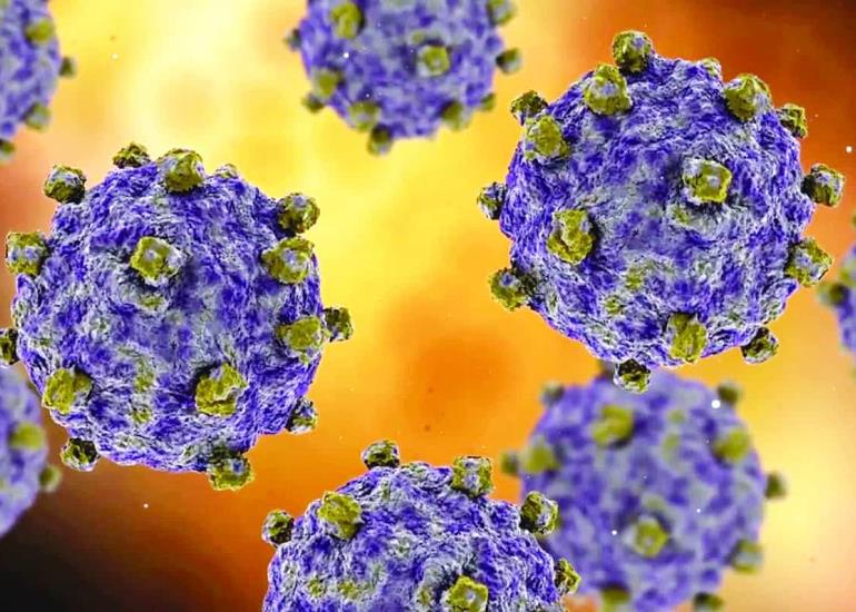 Acecha virus Coxsackie