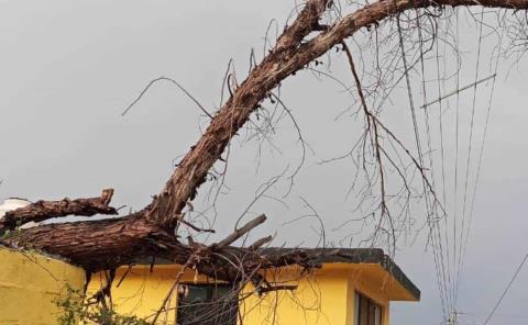 Fuerte tromba    azotó municipios

