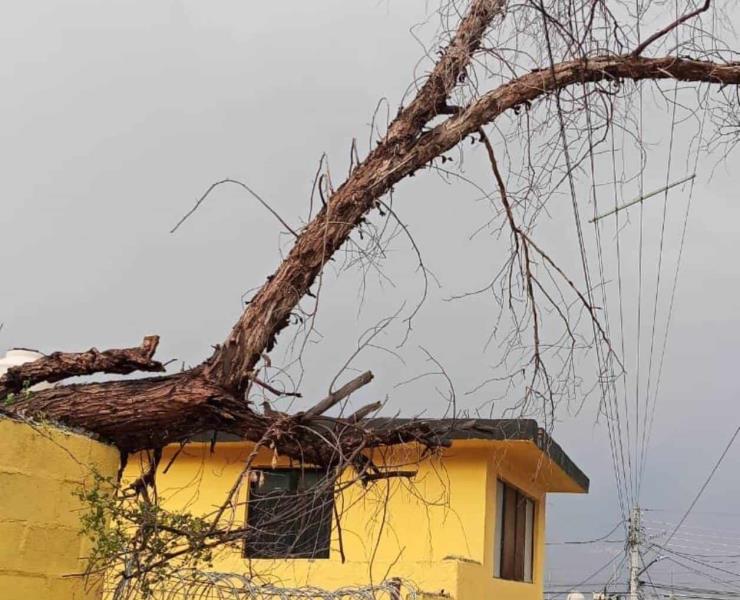 Fuerte tromba    azotó municipios
