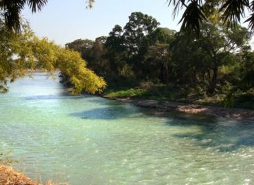 Olvidaron el día del río