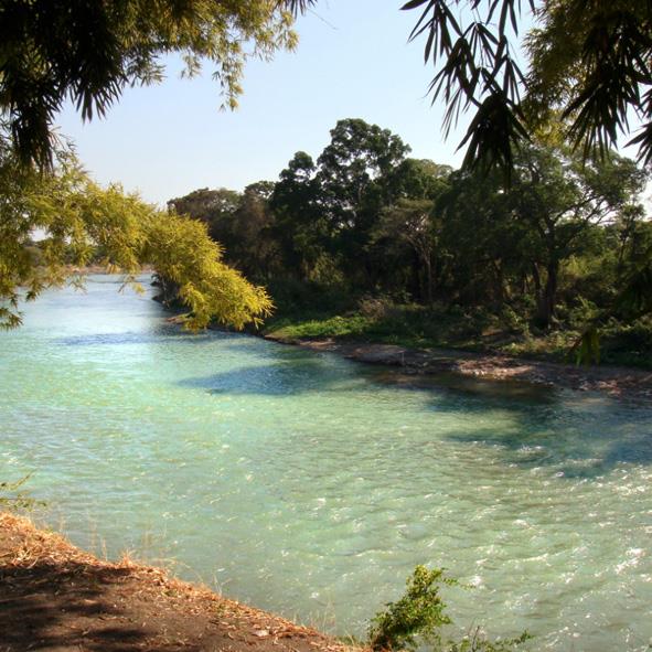 Olvidaron el día del río