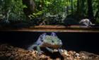 Rioverdense ganó  premio de fotografía 
