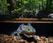 Rioverdense ganó  premio de fotografía 