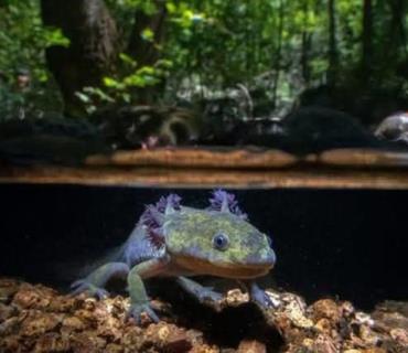 Rioverdense ganó premio de fotografía Rioverdense ganó premio de fotografía