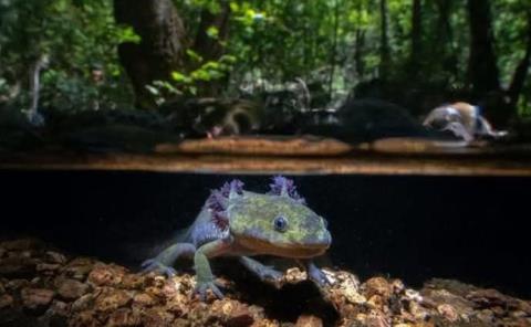 Rioverdense ganó  premio de fotografía 
