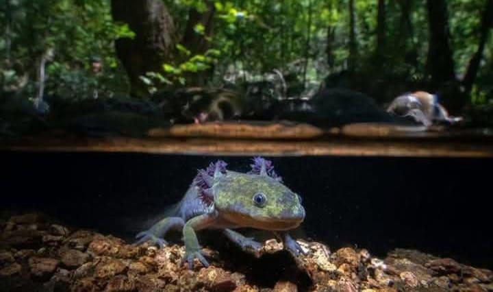 Rioverdense ganó  premio de fotografía 

