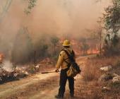 Graves incendios  hubo en este año