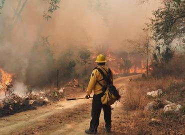 Graves incendios  hubo en este año
