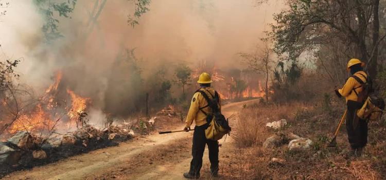 Graves incendios hubo en este año Graves incendios hubo en este año
