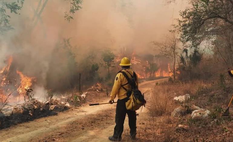 Graves incendios  hubo en este año