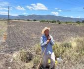 Si llueve habrá buena producción agrícola