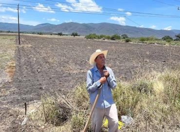 Si llueve habrá buena producción agrícola