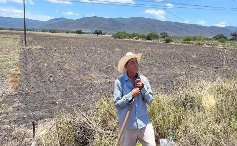 Si llueve habrá buena producción agrícola

